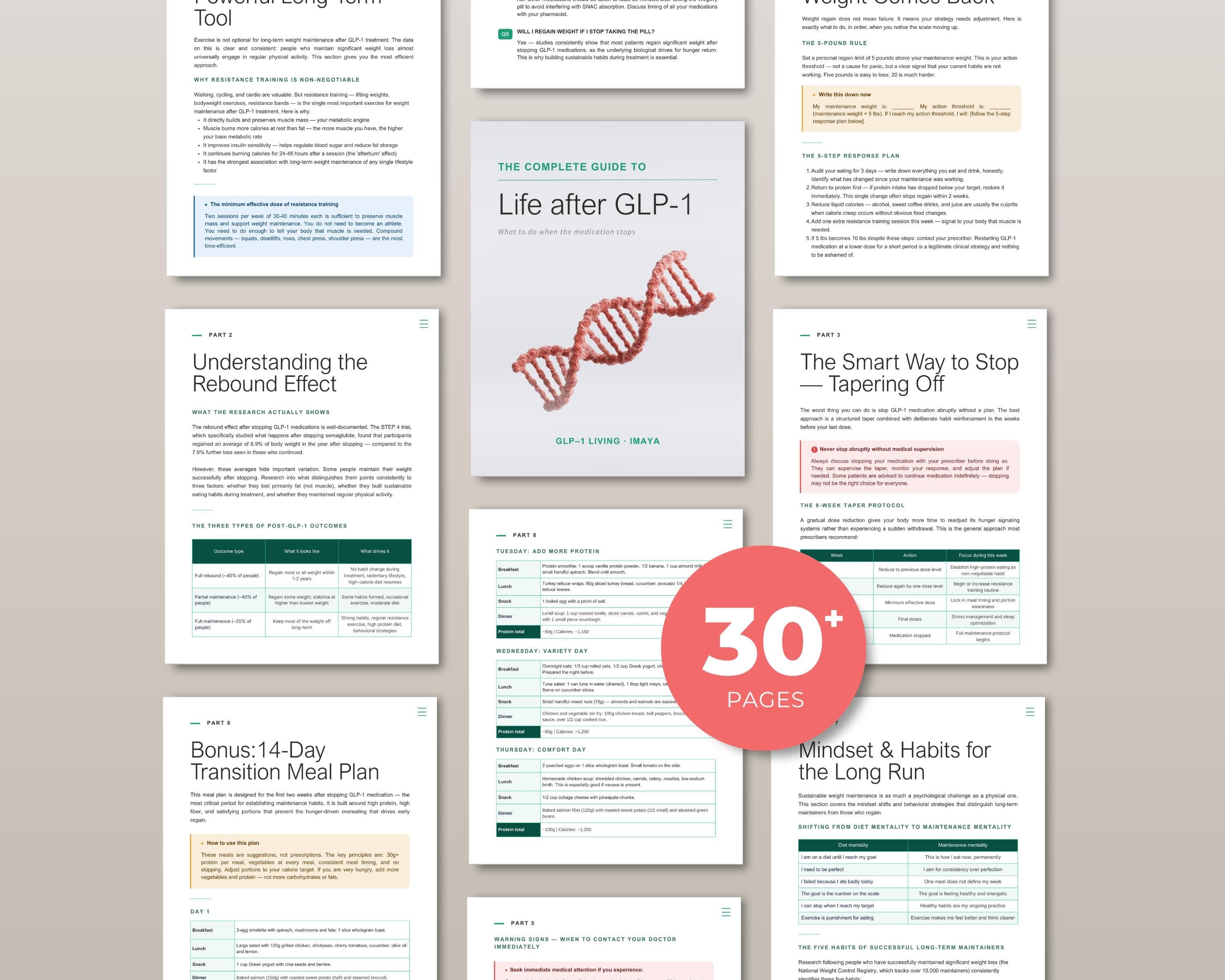 Life After GLP1 Guide Keep Weight Off After Weight Loss Medication 14 Day Meal Plan Digital Download PDF Ebook