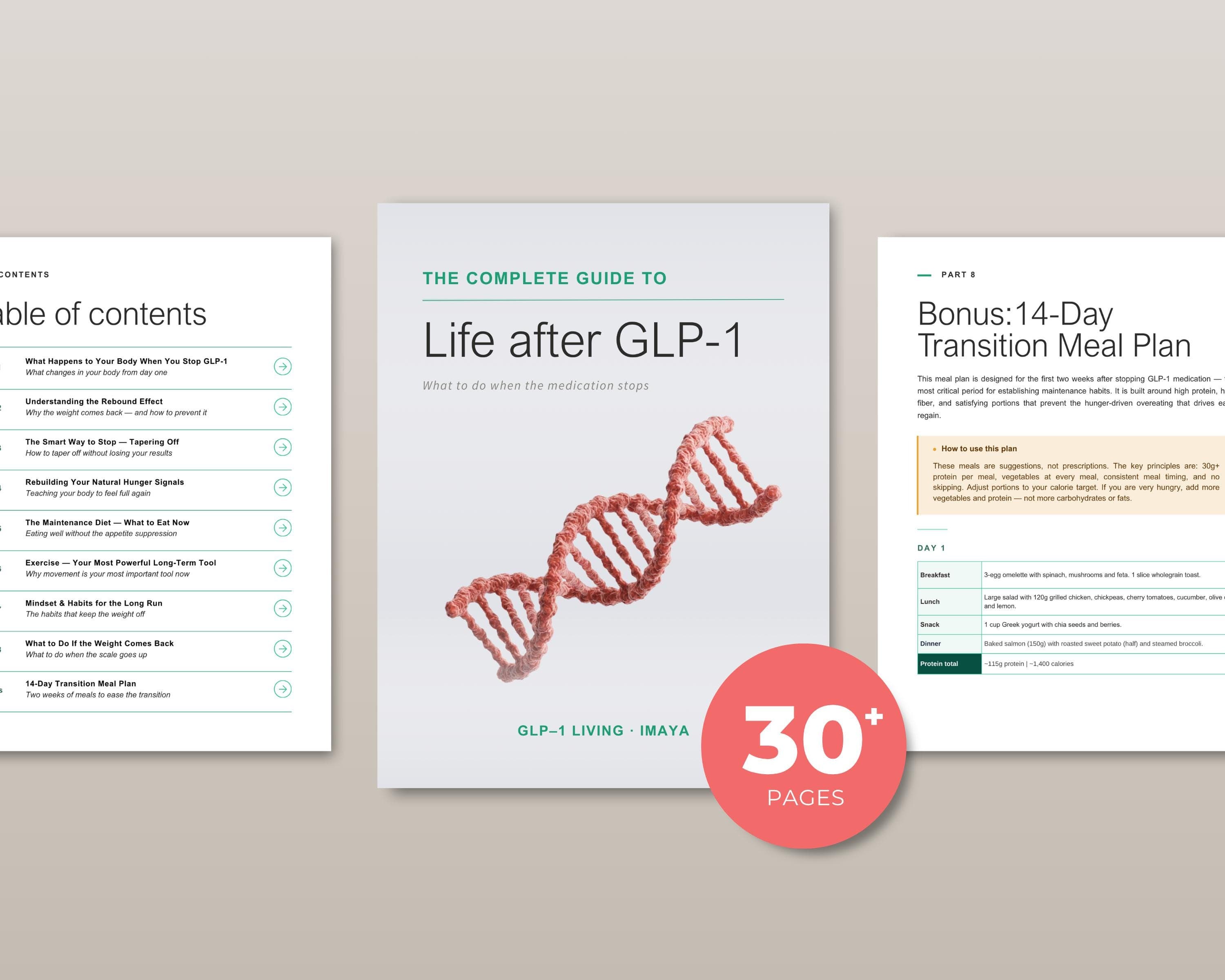 Life After GLP1 Guide Keep Weight Off After Weight Loss Medication 14 Day Meal Plan Digital Download PDF Ebook
